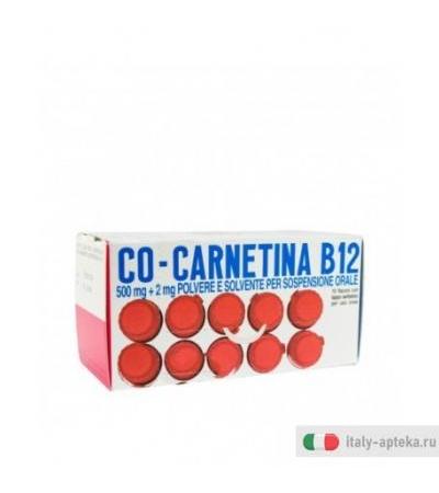 Co-Carnetina B12 10 flaconi 10ml