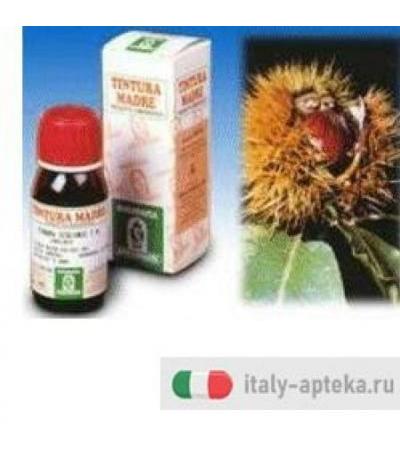 Agnocasto 53 50 ml Tintura Madre