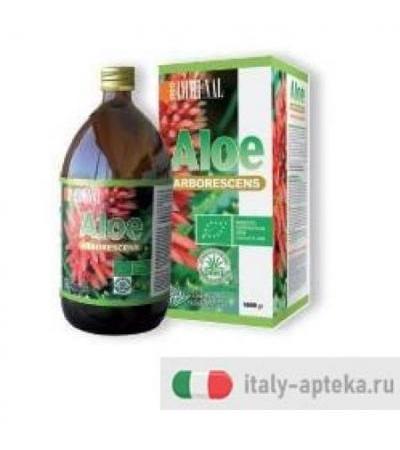 ALOE ARBORESCENS 500G