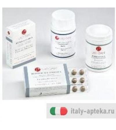 ANGELICA GINSENG 8 60CPR BLIS