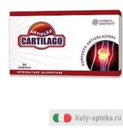 ARTIFLEX CARTILAGO 30CPR