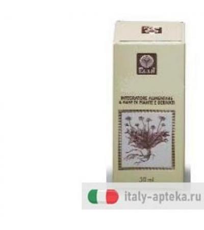 ARTIGLIO DIAVOLO ESTR ANAL 50M