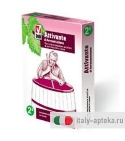 ATTIVANTE FERMENTAZIONE 100G