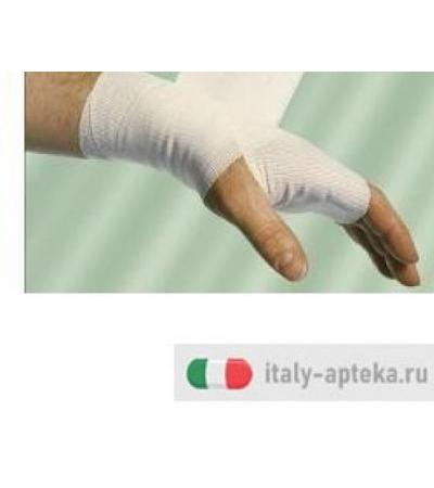 BENDA FISIOIDEAL 10X450CM