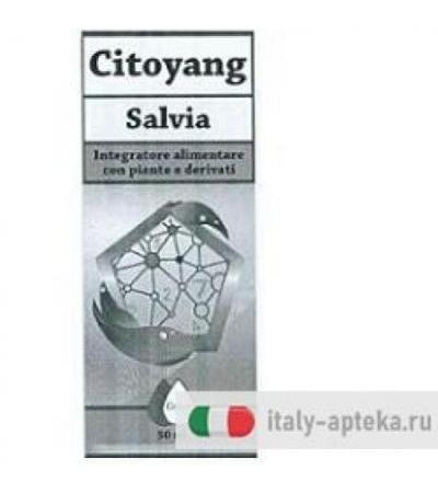CITOYANG SALVIA GOCCE 50ML