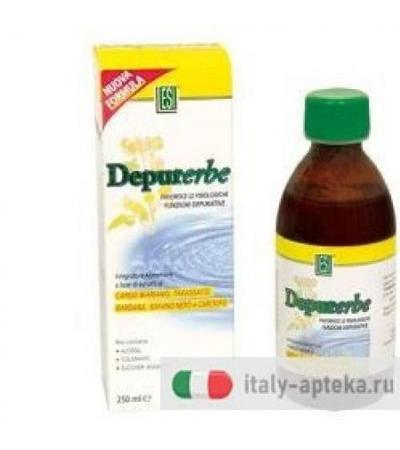 DEPURERBE DRINK 250ML