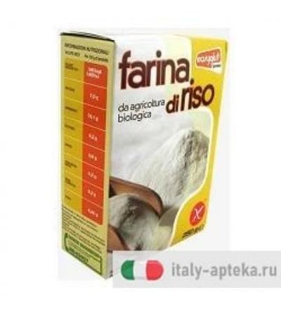 EASYGLUT FARINA RISO BIO 250G