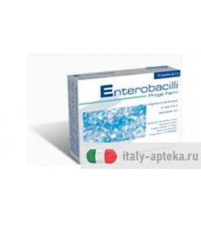 ENTEROBACILLI 10BUST