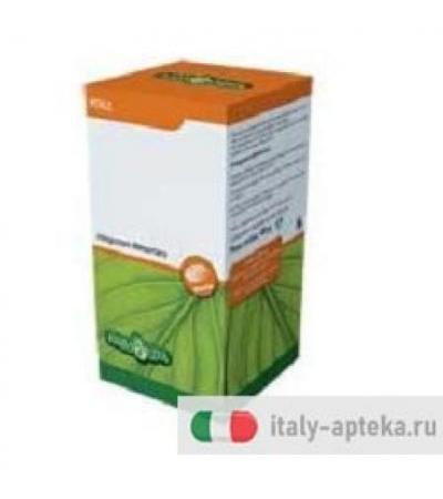 Erba Vita Olio Di Fegato Di Merluzzo 100 Perle 453mg