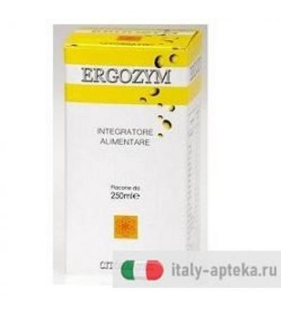 ERGOZYM 250ML