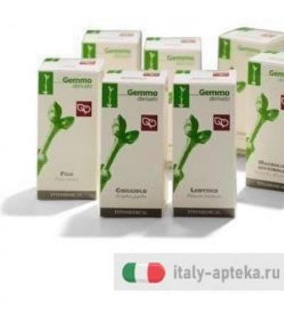 FICO RADICHETTE 100ML MG