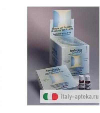 FOSFARSILE MEMORY 10FL