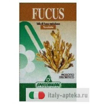 Fucus Erbe 150 Tavolette