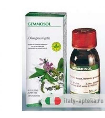 Gemmosol 36 Ribes Nero 50ml