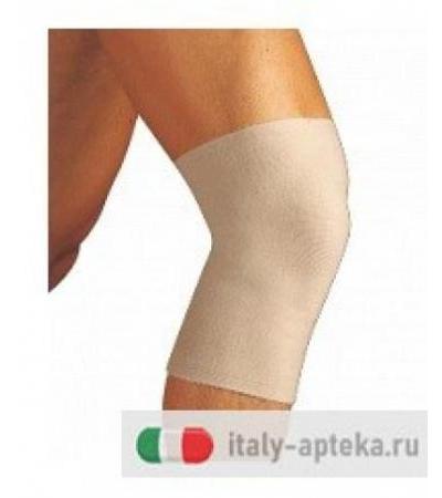 GIBAUD GINOCCH BIEST FELP CAM2