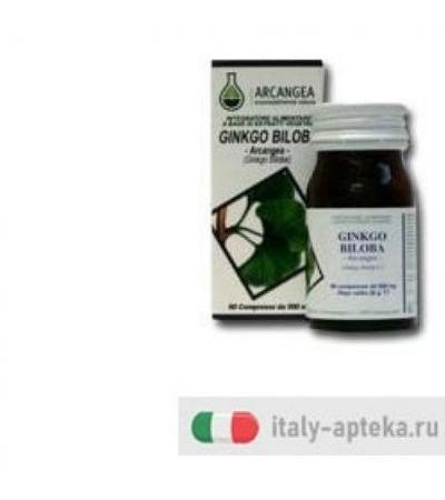GINKGO BILOBA 60CPS 500MG