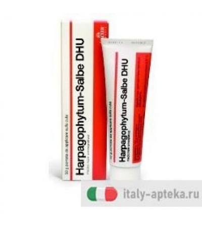 HARPAGOPHYTUM SALBE 50G POM DH