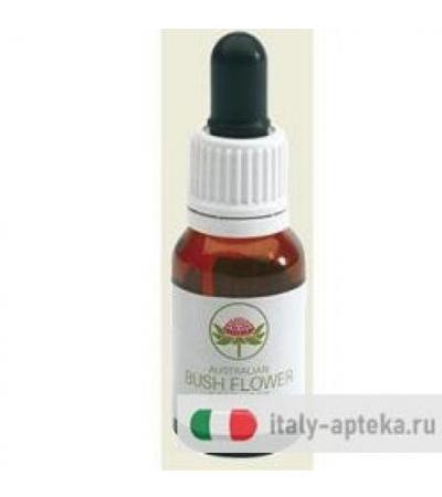 ILLAWARRA FLAME TREE 15ML GTT