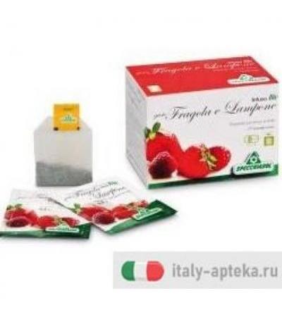 Infuso Fragola/Lampone 20buste