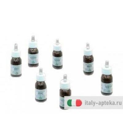 Ka Planta  Olio Massaggio 30ml