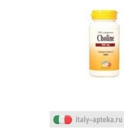 LONGLIFE CHOLINE 100TAV