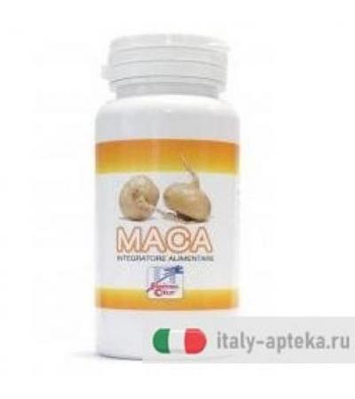 MACA 90CPS