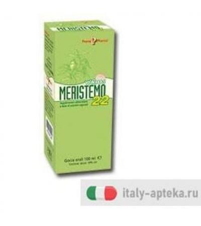MERISTEMO YNKHAS 22 100ML