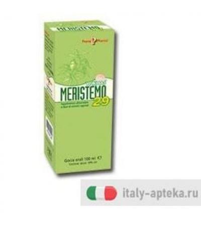MERISTEMO YNKHAS 29 100ML