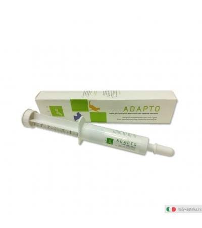 Otivet Adapto Siringa 30ml