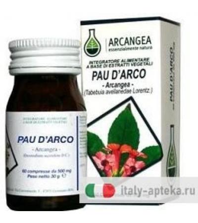 PAU DARCO 60CPS 500MG
