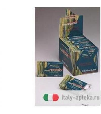 PINO CARAM C/ASPART 24TAV