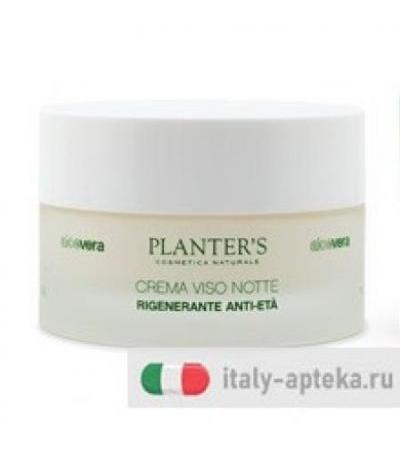 PLANTERS CR NOTTE RIGEN ALOE