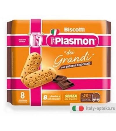 PLASMON BISCOTTO GRANDI CIOC
