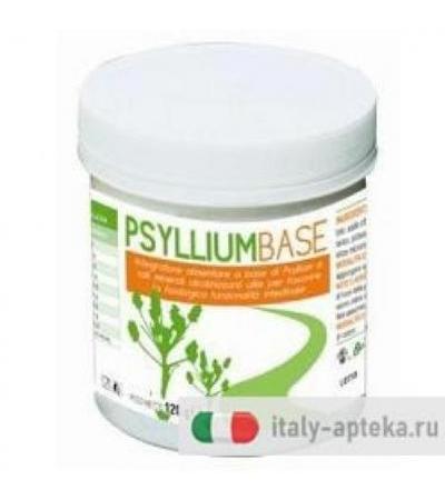 PSYLLIUM BASE POLVERE 120G