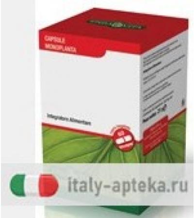 RIBES NERO 60CPS 450MG
