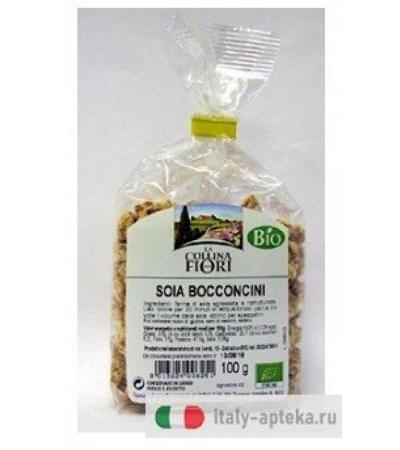 SOIA BOCCONCINI BIO SG 100G