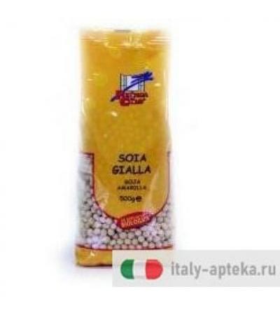 SOIA GIALLA BIO 500G