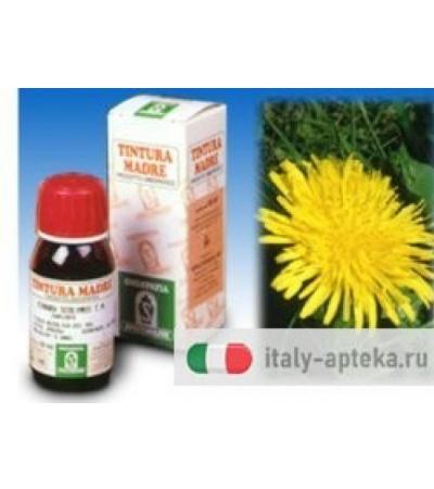 Specchiasol Tarassaco 28 50 ml Tintura Madre