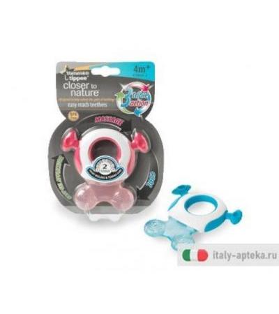 TOMMEE T MASSGENG CTN FASE 2