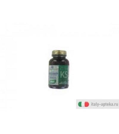 alga klamath indicazioni