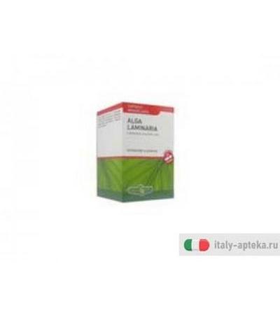 alga laminaria capsule