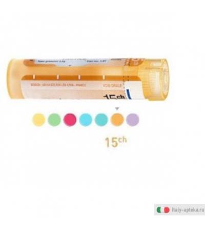 calcarea carb ost 15ch gr