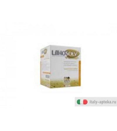 lithosolv descrizione