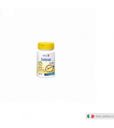 longlife cordyceps bio 60cps