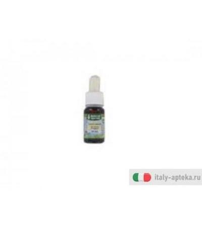 nasyamap prodotto cosmetico in olio che favorisce la pulizia delle cavità nasali ed