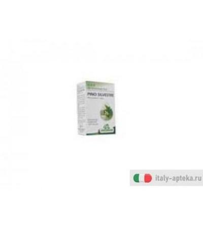 pino silvestre olio essenziale puro