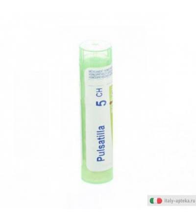 pulsatilla 5ch gr