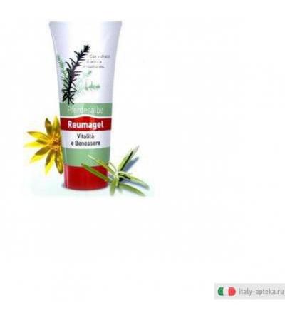 reumagel pferdesalbe gel