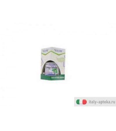 selerbe ginkgo biloba