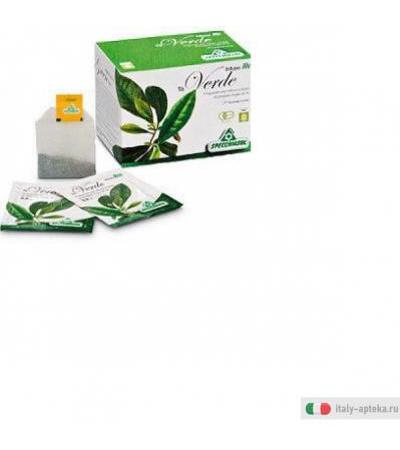 tè verde preparato per infuso a base di pregiate foglie non fermentate di tè dal